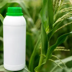 Biała butelka z zieloną nakrętką na tle zielonych liści kukurydzy. Produkt Amistar 250 SC i jego karencja.
