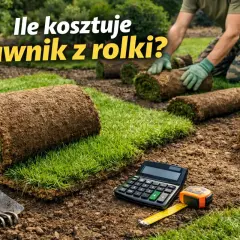 Rolki trawy na ziemi, obok kalkulator i miarka. Zastanawiasz się, ile kosztuje trawa z rolki?