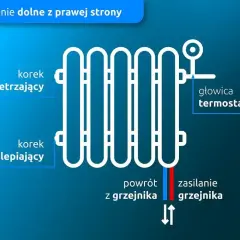 Schemat podłączenia grzejnika od dołu z prawej strony. Widoczny korek odpowietrzający, zaślepiający, głowica termostatyczna, zasilanie i powrót.