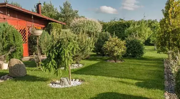 Pielęgnacja Ogrodów: Jakie Są Ceny? Zadbaj o Zieleń Bez Stresu