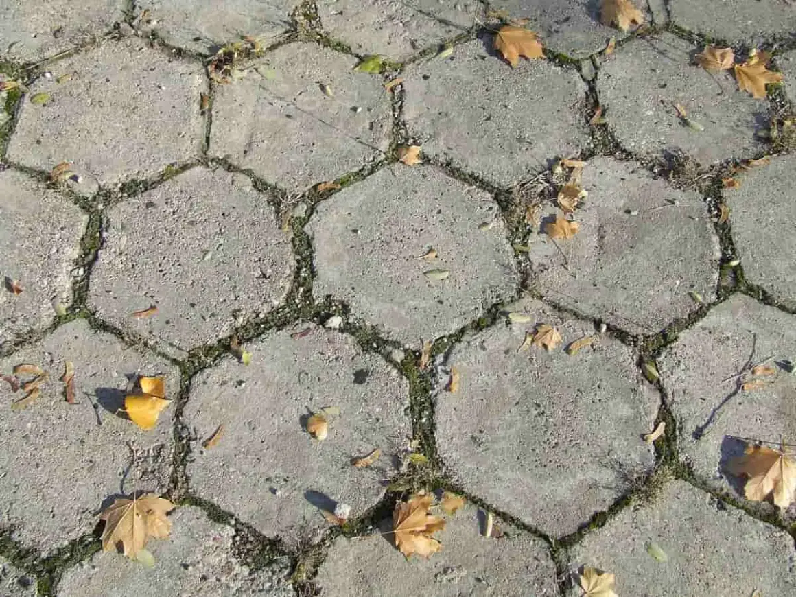 Szara, sześciokątna kostka brukowa, z mchem i opadłymi liśćmi, tworzy jesienną trelinkę.