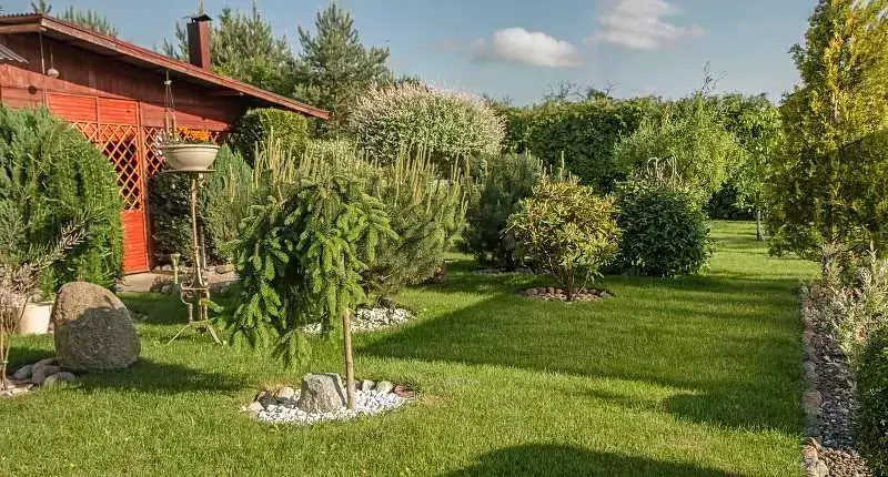Pielęgnacja Ogrodów: Jakie Są Ceny? Zadbaj o Zieleń Bez Stresu