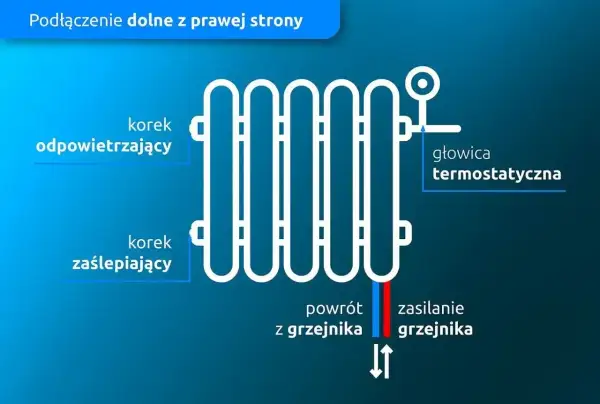 Schemat podłączenia grzejnika od dołu z prawej strony. Widoczny korek odpowietrzający, zaślepiający, głowica termostatyczna, zasilanie i powrót.